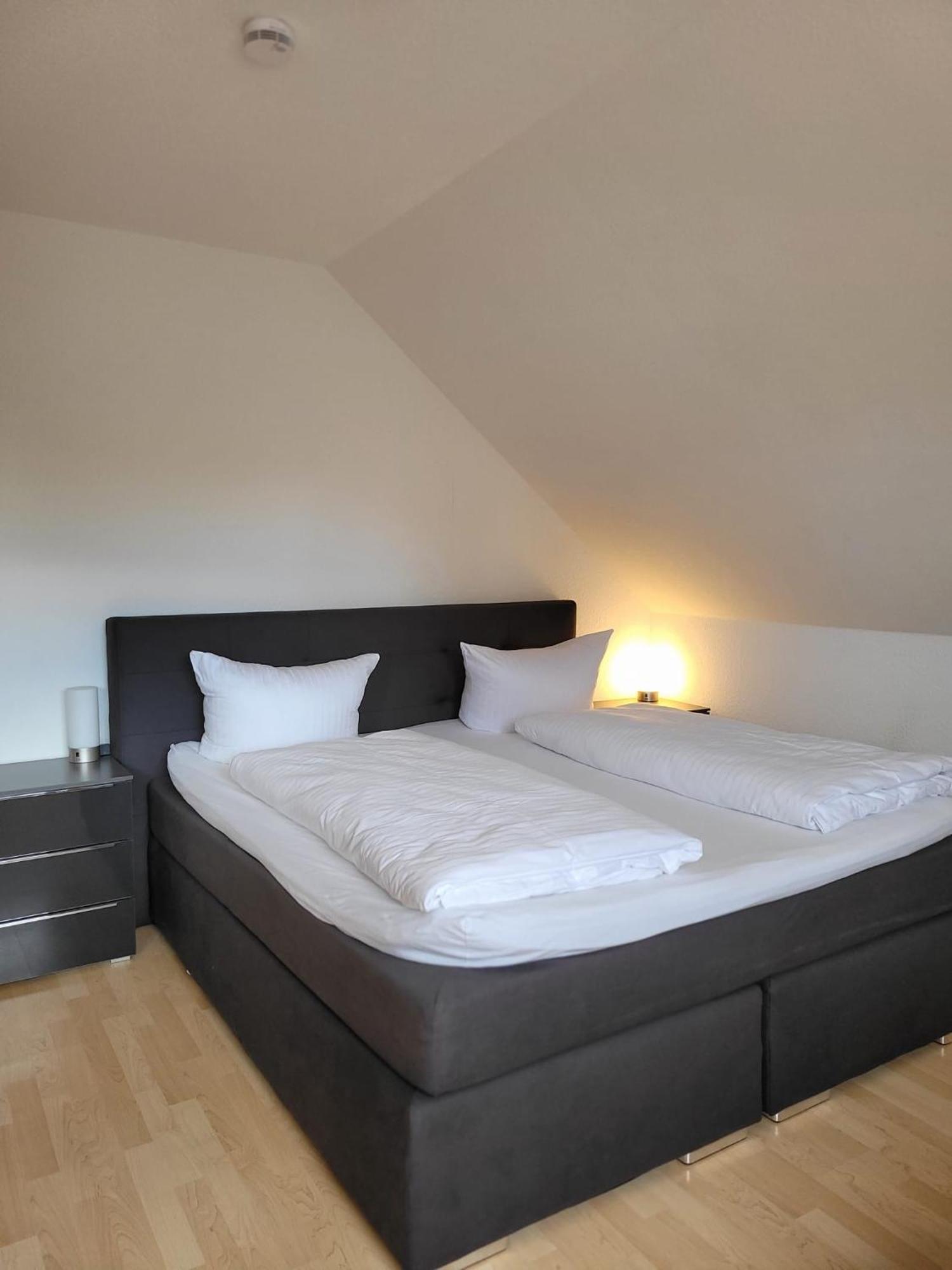 Apartments Muenchbach - Near Europa-Park And Rulantica ルスト エクステリア 写真